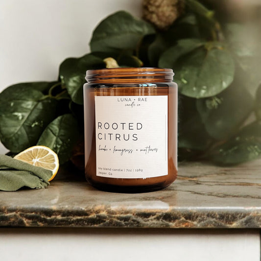 Rooted Citrus