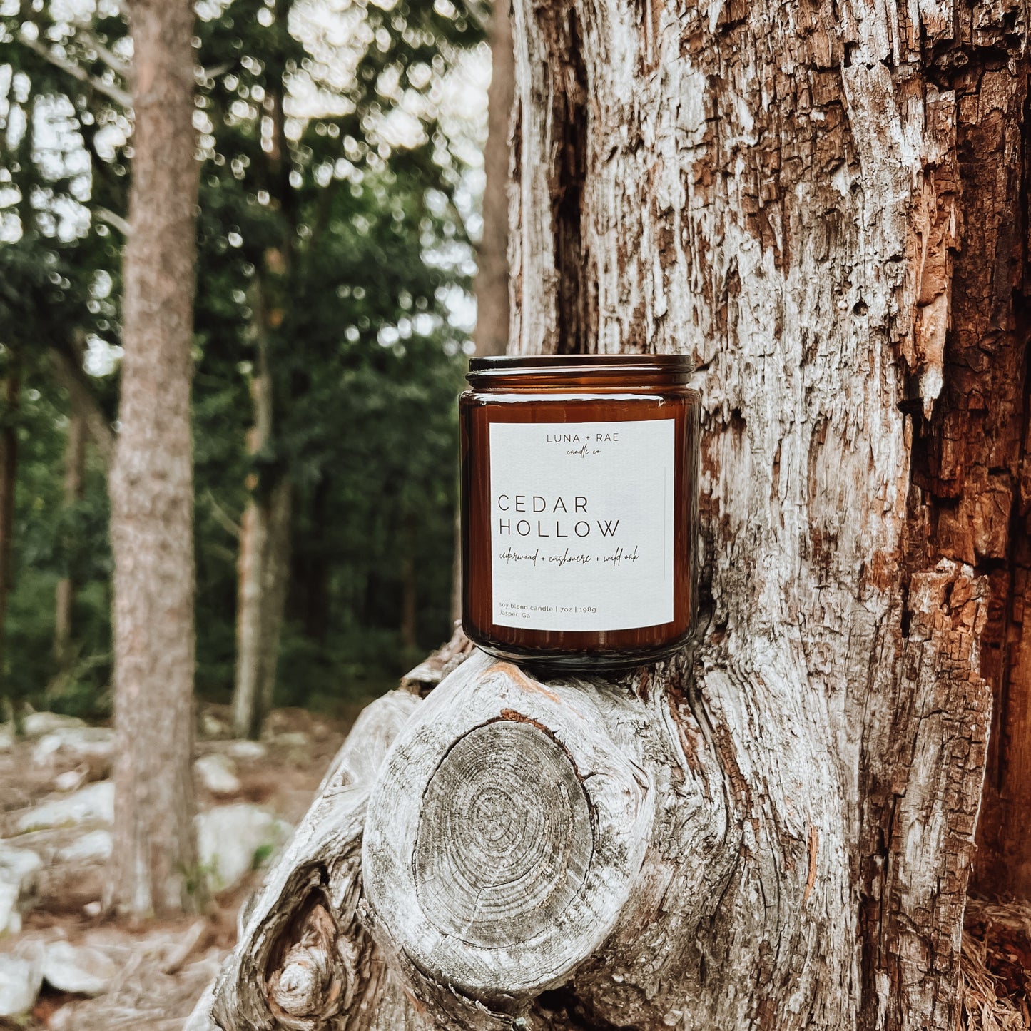 Cedar Hollow